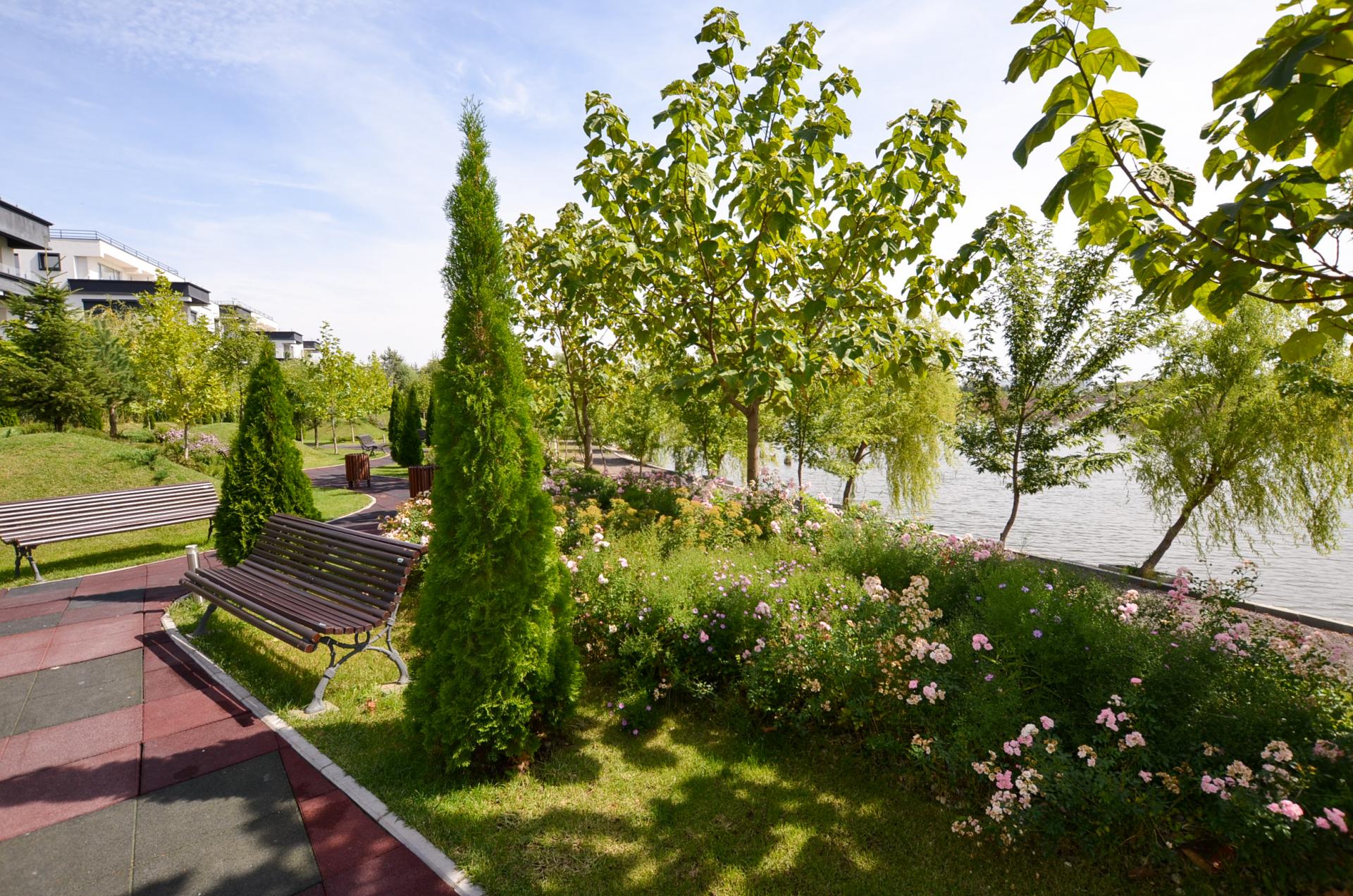 Laguna Residence Lacul Tei