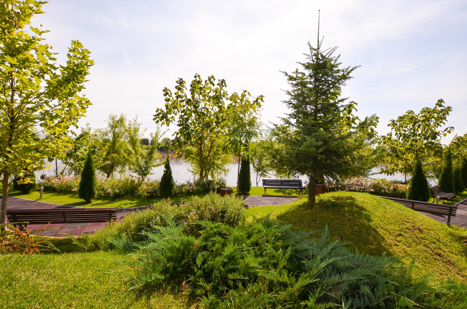 Laguna Residence Lacul Tei