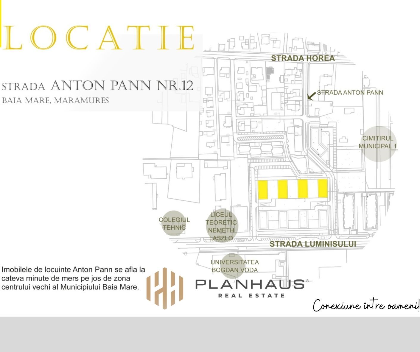 Anton Pann 12