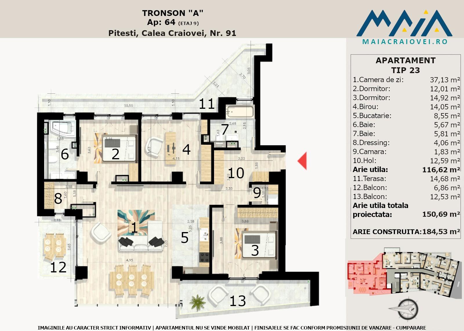 T23